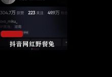 抖音网红野餐兔--8月最新私拍-srcmini