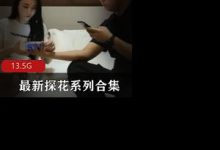 最新探花系列合集-srcmini