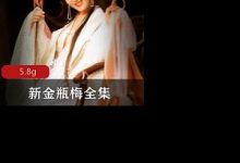 新金瓶梅.5集-srcmini