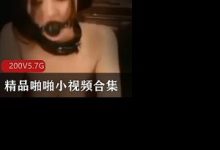 精品打粑粑小视频合集-srcmini