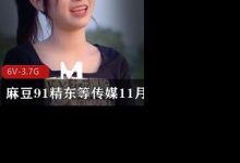 麻豆久妖精东等传媒11月24日更新作品-srcmini