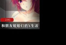 和朋友姐姐们的X生活 精翻汉化pc版-srcmini