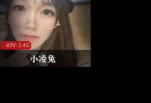 花样百出极品御姐-小凌兔-srcmini