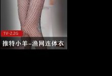 某推小羊-渔网连体衣-srcmini