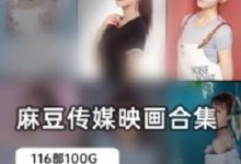 麻豆传媒高质量作品116部大合集-srcmini