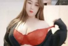 高颜值丰满肉感坦克主播合集-srcmini