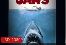 经典灾难惊悚电影《大白鲨》系列合集推荐-srcmini