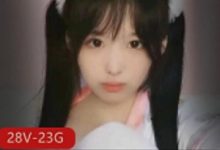 小奶猫主播胖次猫自我安慰视频合集-srcmini