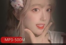 推宅男粉的火爆音频：B站桥桥超温柔舰长完整全集-srcmini