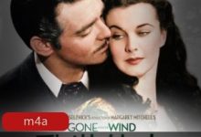乱世佳人有声小说-srcmini