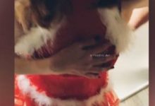 林宽联谊活动视频：兔女郎身材完美，女模特女大学生内部资源，神秘眼罩现场教学-srcmini