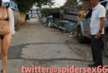 极致打野-srcmini