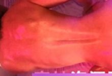 Lilimini：超凡魅力的火爆网红，具备出色的编排和演技技巧，以可爱的小仙女形象著称-srcmini