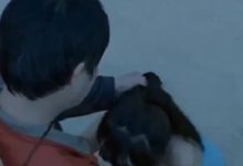 劲舞自选包抖阴3916V草莓球坠合集59G炸屏珍藏-srcmini