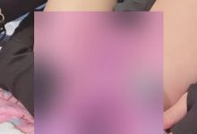 云盘自收集短视频合集337部8.78GB绝密展示-srcmini