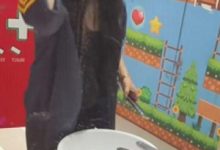 探秘餐厅女厕绝景高清版6段666MB原始珍藏-srcmini