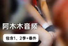 阿木木狐姬剧情音频100部20G耳膜马杀鸡-srcmini